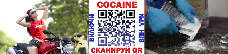 Купить где  Киренск  COCAIN Fish Scale 